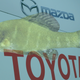 Illustration for article titled Why A Tiny Fish Is Stalling The New Toyota-Mazda Factory In Alabamaem/em